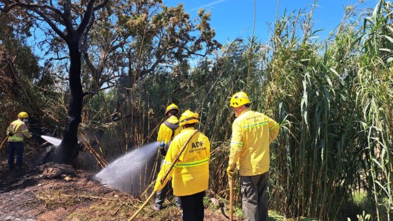 Pequeno incêndio em Alzinar